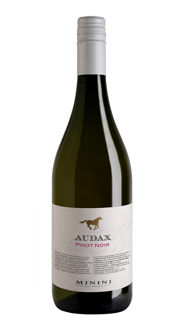 Audax-Pinot-Nero-delle-Venezie-IGT